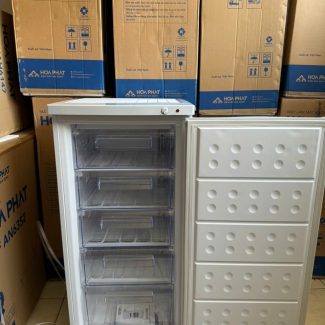 Tủ đông đứng Hòa Phát HPF UAH6147