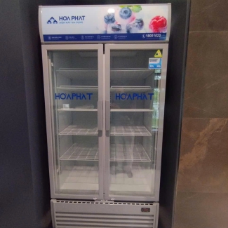 Tủ mát trưng bày Hòa Phát 1 ngăn 2 cánh HSR D8812