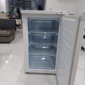 Tủ đông đứng Hòa Phát HPF UAH6106